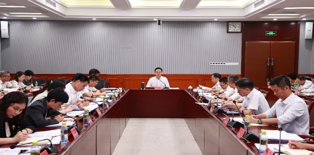 三亚市2025年上半年冲刺“双过半”经济运行情况分析调度会召开