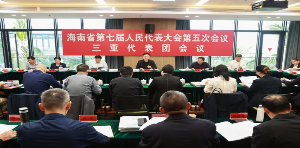 三亚代表团继续审议省政府工作报告审查省“十五五”规划纲要草案、计划报告和草案、预算报告和草案