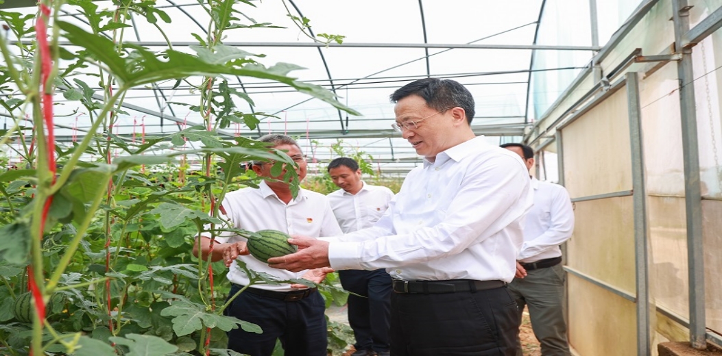 王祺扬在育才生态区调研并参加那受村党委第一党支部组织生活会